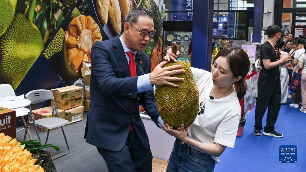 九州官方备用线路